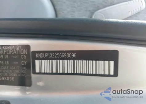 2005 Kia Sedona Ex/Lx из США, поврежденный, VIN KNDUP132256698096